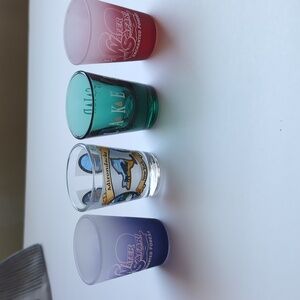 4 Unused Shot Glasses - Adirondacks